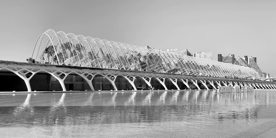 069 | 2020 | Valencia | Ciutat de les Arts i les Ciències | © carsten riede fotografie