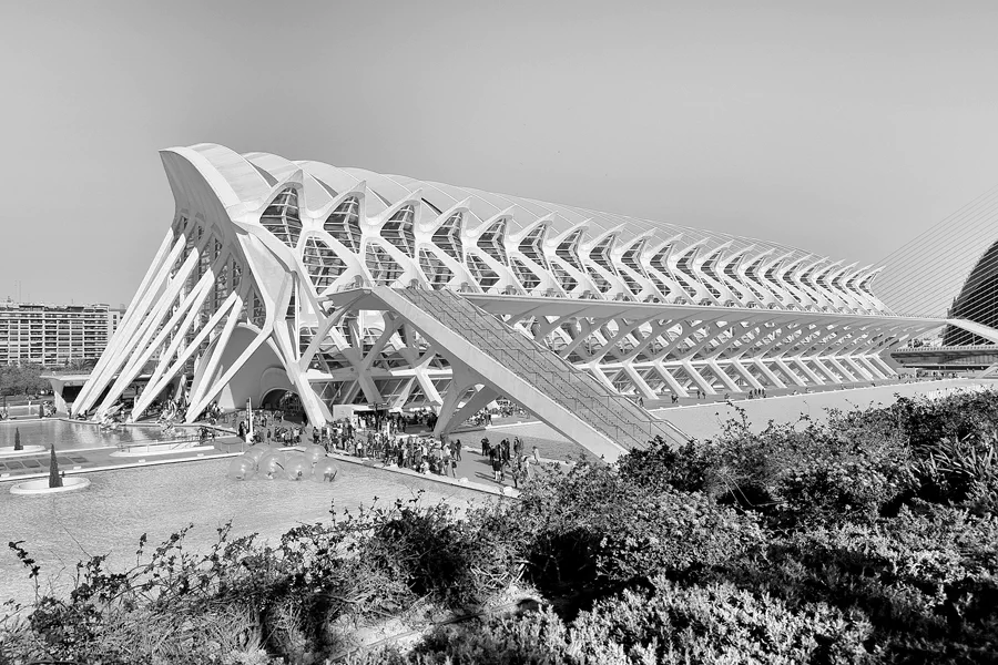 072 | 2020 | Valencia | Ciutat de les Arts i les Ciències | © carsten riede fotografie
