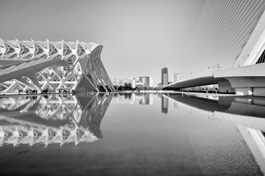 084 | 2020 | Valencia | Ciutat de les Arts i les Ciències | © carsten riede fotografie