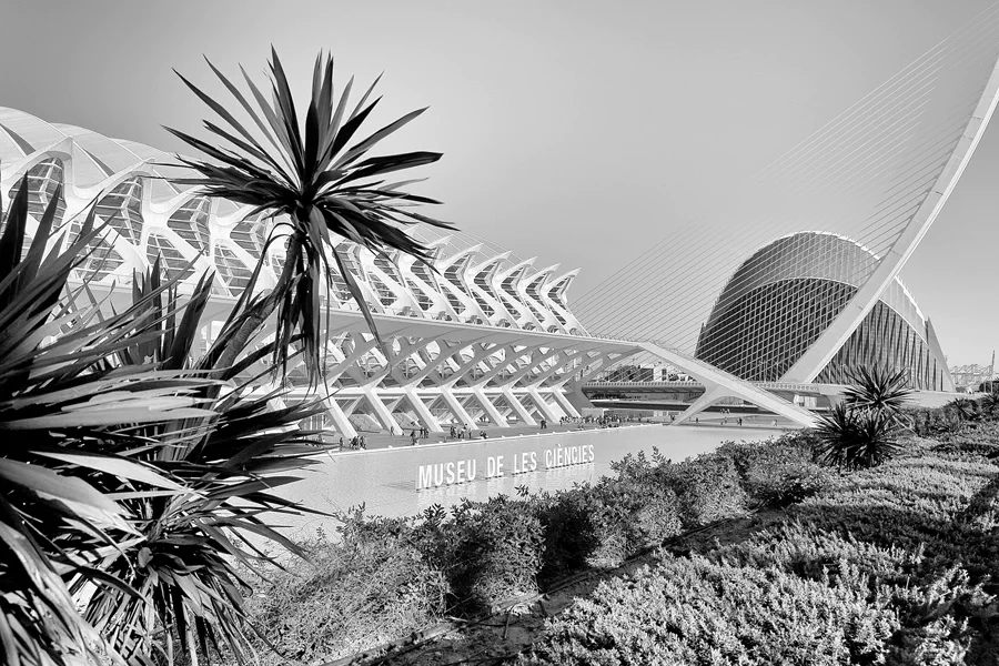 086 | 2020 | Valencia | Ciutat de les Arts i les Ciències | © carsten riede fotografie