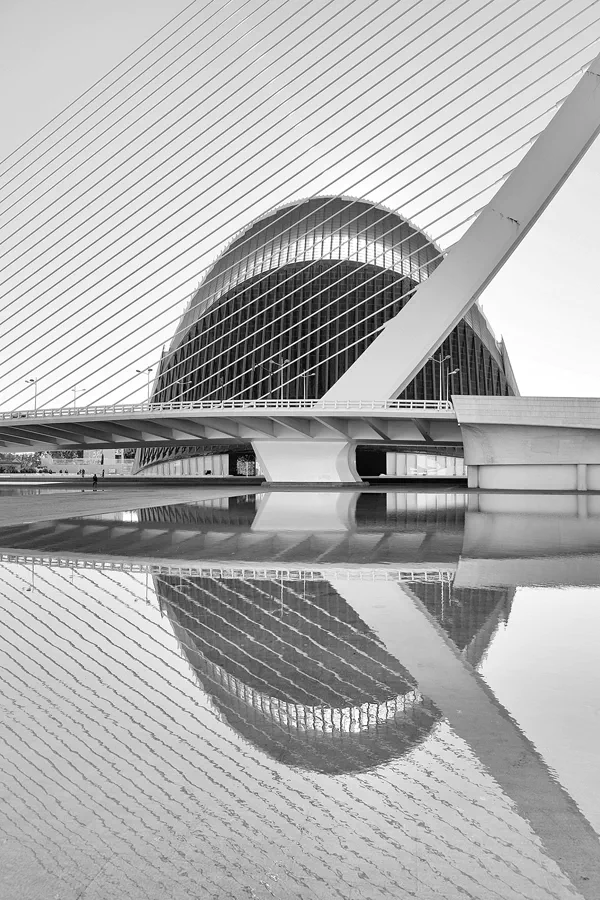 100 | 2020 | Valencia | Ciutat de les Arts i les Ciències | © carsten riede fotografie