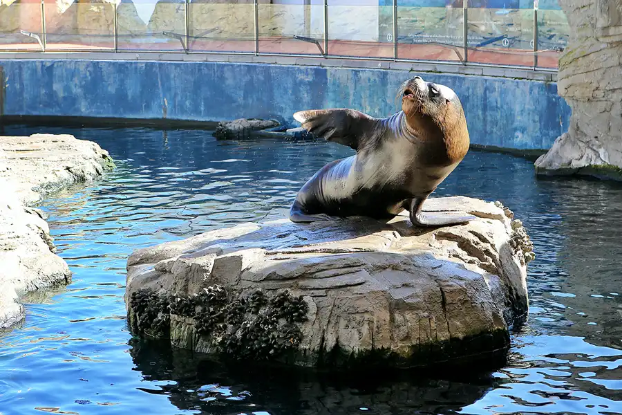 008 | 2020 | Valencia | Ciutat de les Arts i les Ciències – L&rsquo; oceanogràfic | © carsten riede fotografie