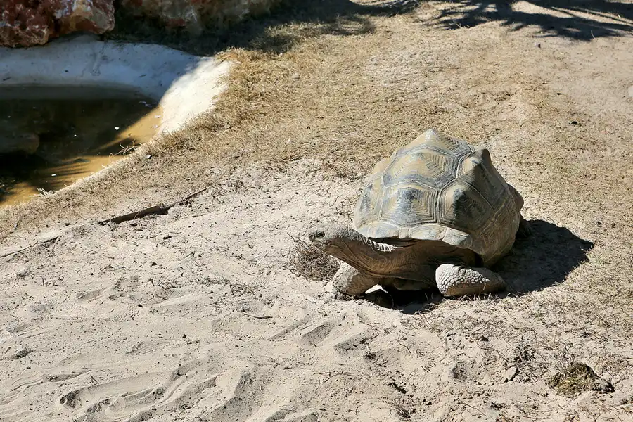 010 | 2020 | Valencia | Ciutat de les Arts i les Ciències – L&rsquo; oceanogràfic | © carsten riede fotografie