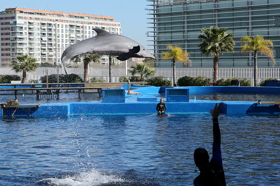 016 | 2020 | Valencia | Ciutat de les Arts i les Ciències – L&rsquo; oceanogràfic | © carsten riede fotografie