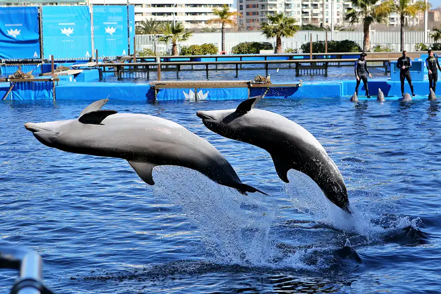 017 | 2020 | Valencia | Ciutat de les Arts i les Ciències – L&rsquo; oceanogràfic | © carsten riede fotografie