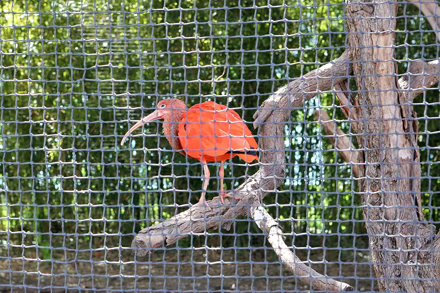 019 | 2020 | Valencia | Ciutat de les Arts i les Ciències – L&rsquo; oceanogràfic | © carsten riede fotografie