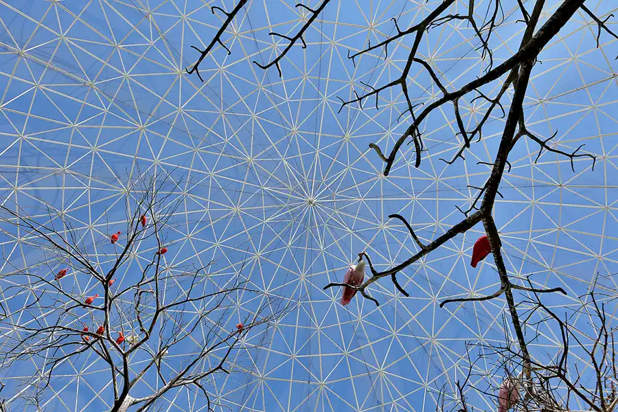 033 | 2020 | Valencia | Ciutat de les Arts i les Ciències – L&rsquo; oceanogràfic | © carsten riede fotografie