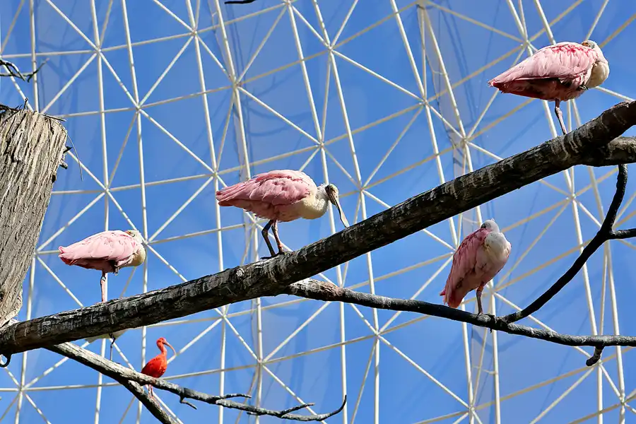 035 | 2020 | Valencia | Ciutat de les Arts i les Ciències – L&rsquo; oceanogràfic | © carsten riede fotografie