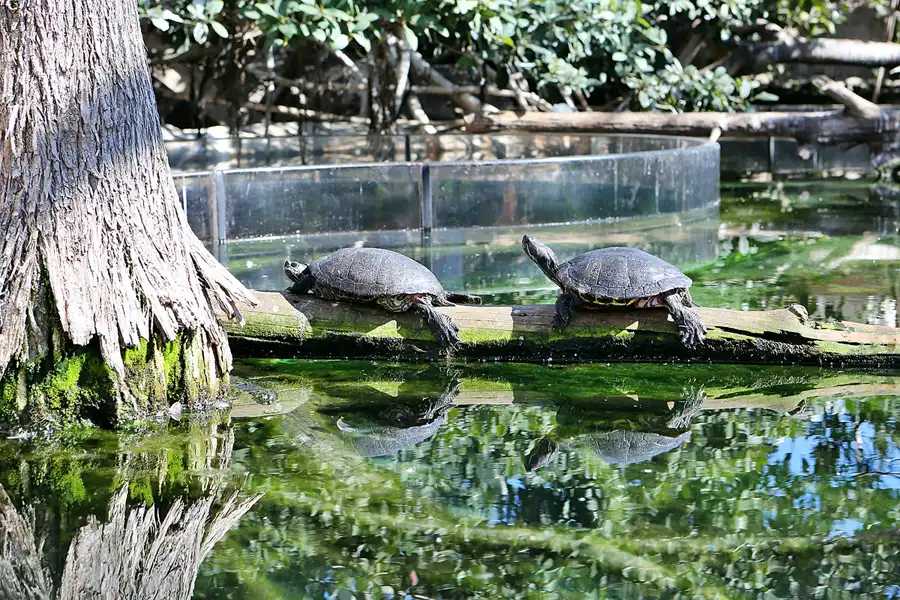 044 | 2020 | Valencia | Ciutat de les Arts i les Ciències – L&rsquo; oceanogràfic | © carsten riede fotografie