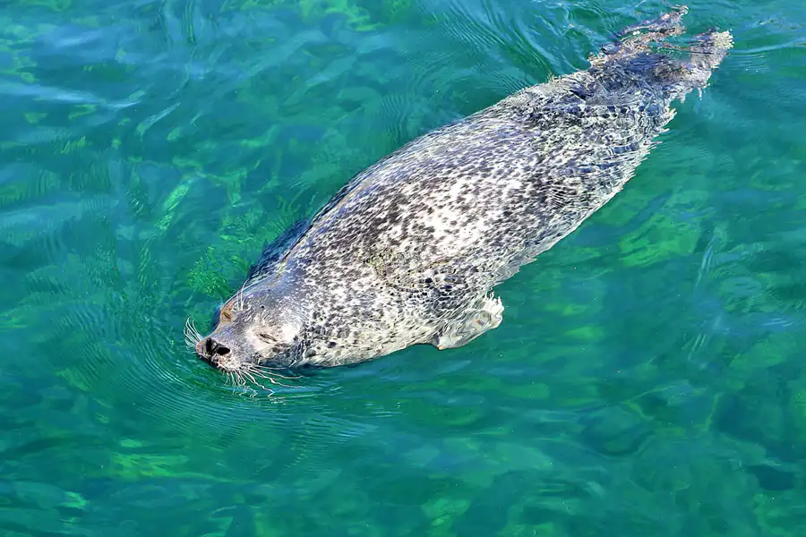 047 | 2020 | Valencia | Ciutat de les Arts i les Ciències – L&rsquo; oceanogràfic | © carsten riede fotografie