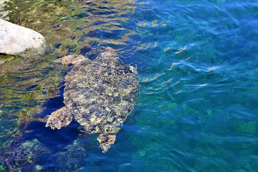 049 | 2020 | Valencia | Ciutat de les Arts i les Ciències – L&rsquo; oceanogràfic | © carsten riede fotografie