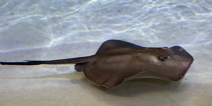 071 | 2020 | Valencia | Ciutat de les Arts i les Ciències – L&rsquo; oceanogràfic | © carsten riede fotografie