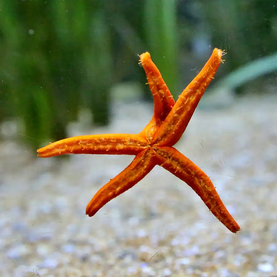 077 | 2020 | Valencia | Ciutat de les Arts i les Ciències – L&rsquo; oceanogràfic | © carsten riede fotografie
