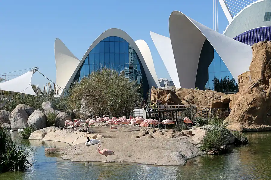 089 | 2020 | Valencia | Ciutat de les Arts i les Ciències – L&rsquo; oceanogràfic | © carsten riede fotografie