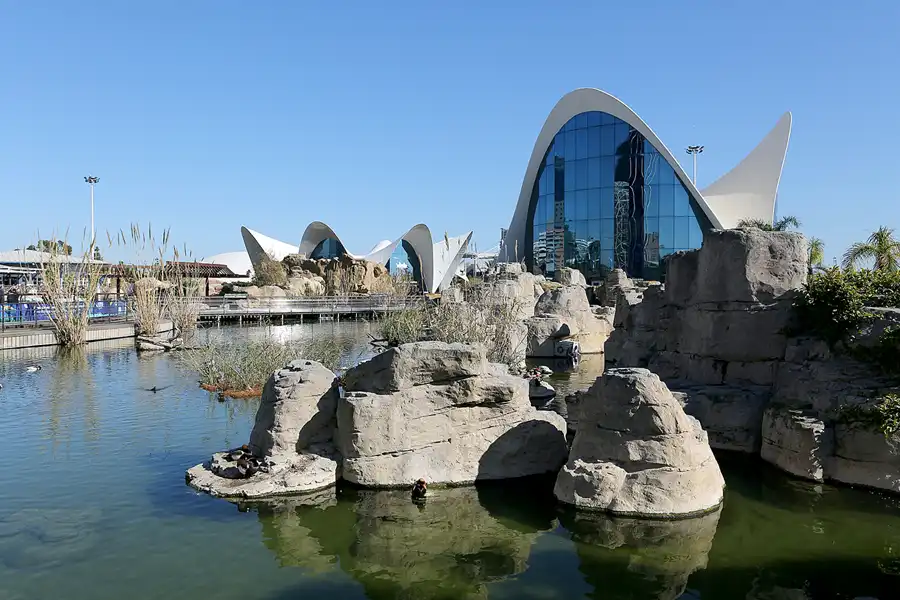 090 | 2020 | Valencia | Ciutat de les Arts i les Ciències – L&rsquo; oceanogràfic | © carsten riede fotografie