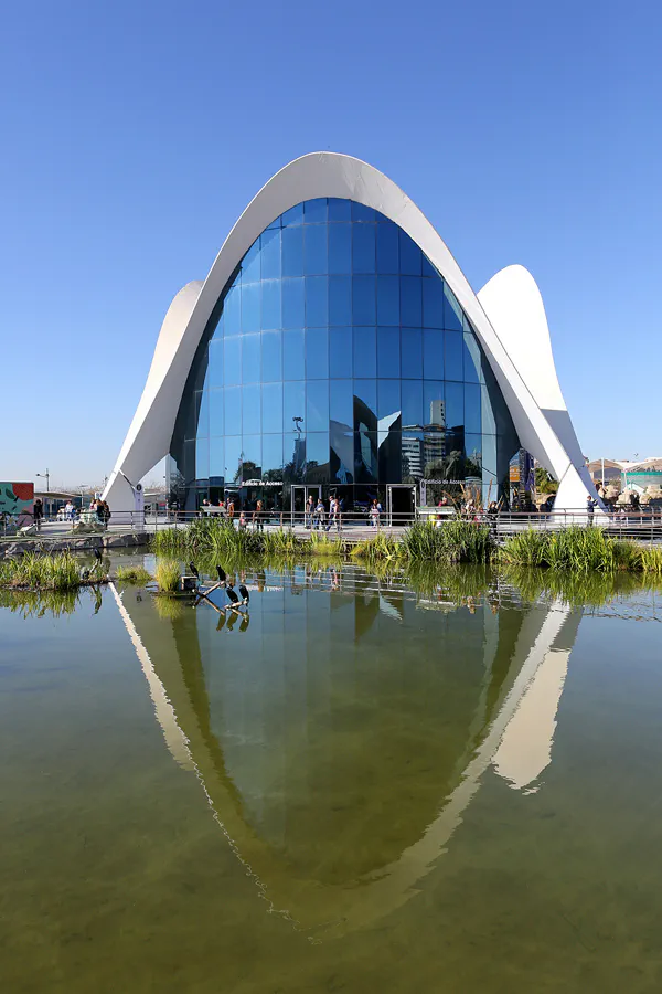 092 | 2020 | Valencia | Ciutat de les Arts i les Ciències – L’ oceanogràfic | © carsten riede fotografie
