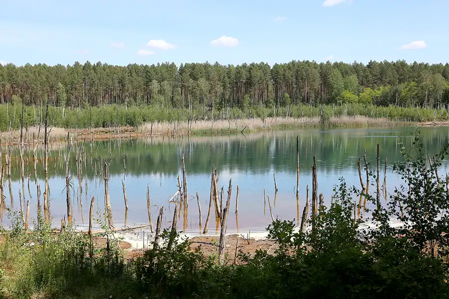 051 | 2020 | Muskauer Heide | © carsten riede fotografie