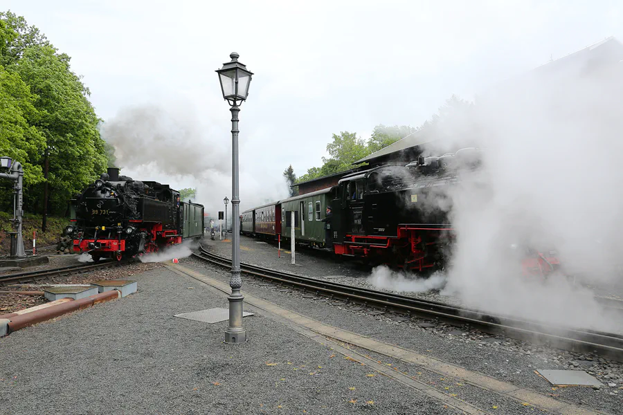 088 | 2020 | Bertsdorf | Zittauer Schmalspurbahn – Bahnhof Bertsdorf | © carsten riede fotografie