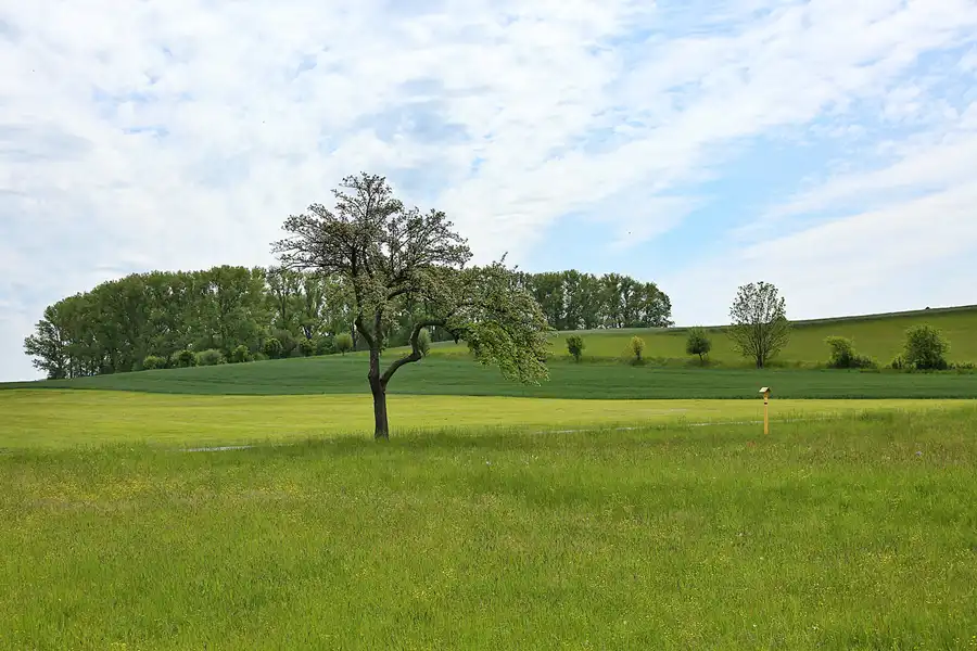 069 | 2020 | Olbersdorf | © carsten riede fotografie