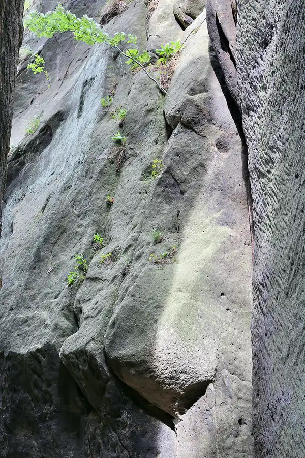 097 | 2020 | Oybin | Burg Oybin | © carsten riede fotografie