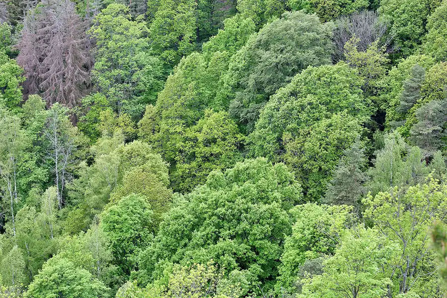 111 | 2020 | Oybin | Blick vom Berg Oybin | © carsten riede fotografie