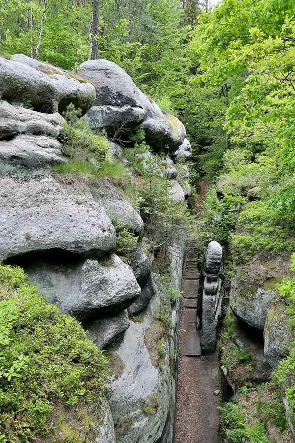 114 | 2020 | Oybin | Ritterschlucht | © carsten riede fotografie