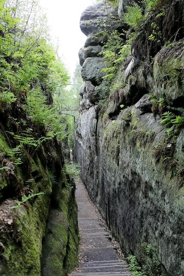 115 | 2020 | Oybin | Ritterschlucht | © carsten riede fotografie