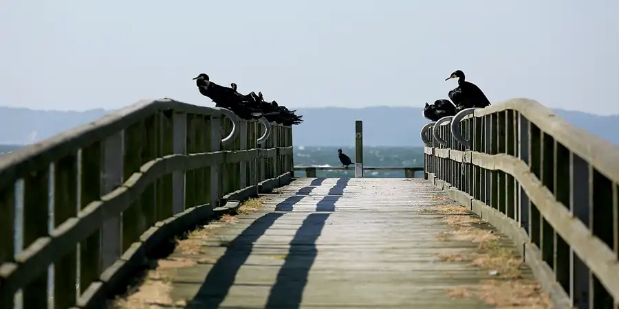 006 | 2020 | Sassnitz | © carsten riede fotografie