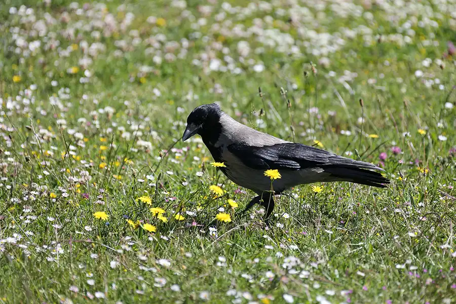 024 | 2020 | Sassnitz | © carsten riede fotografie