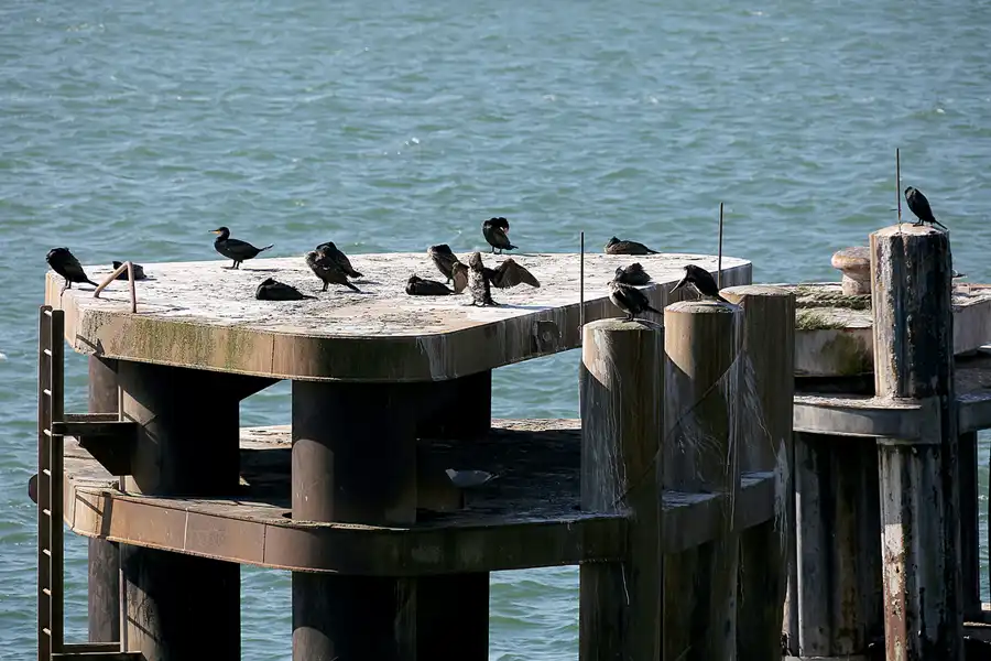 031 | 2020 | Sassnitz | © carsten riede fotografie