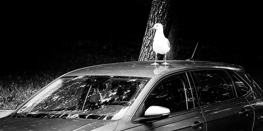 041 | 2020 | Göhren | Bahnhof | © carsten riede fotografie