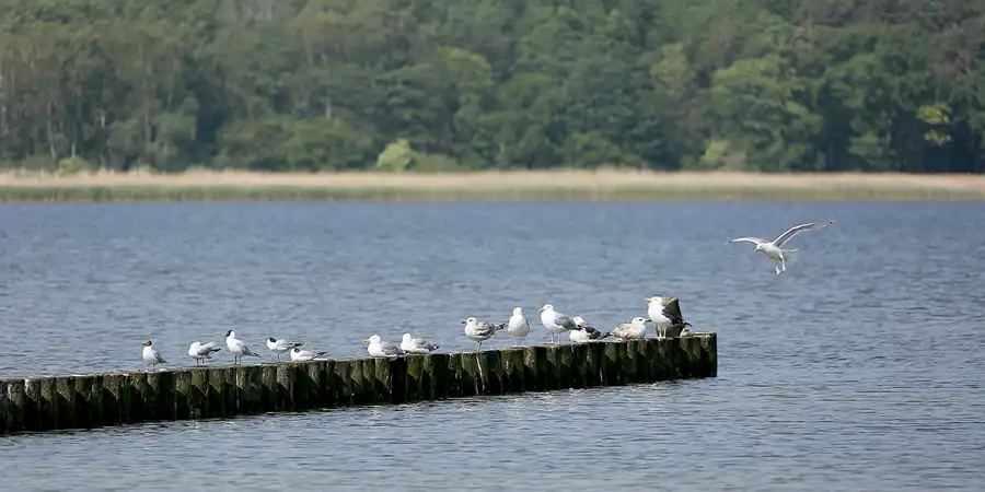 071 | 2020 | Lietzow | © carsten riede fotografie