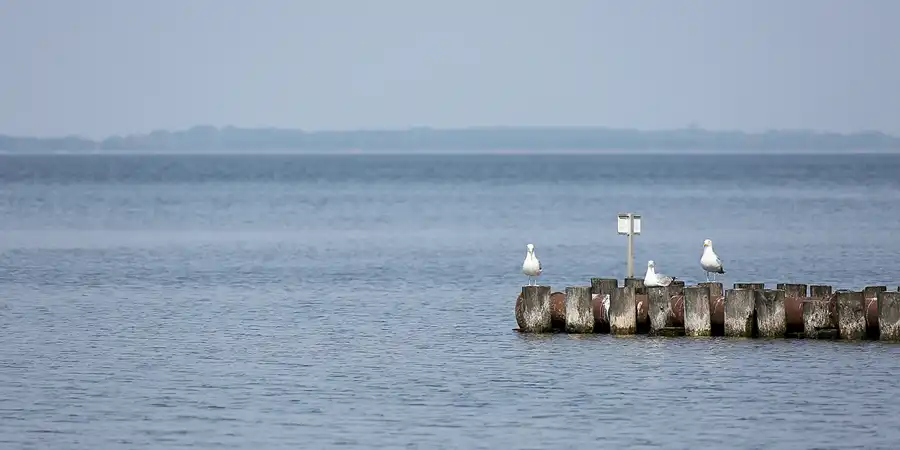 074 | 2020 | Lietzow | © carsten riede fotografie