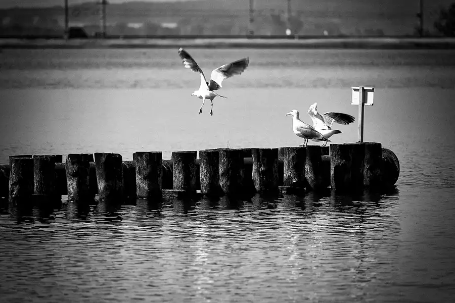 075 | 2020 | Lietzow | © carsten riede fotografie