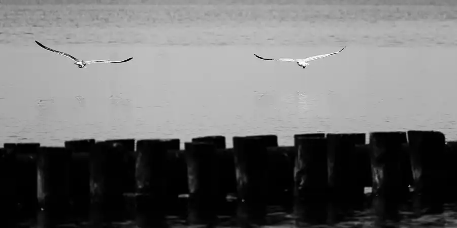 076 | 2020 | Lietzow | © carsten riede fotografie