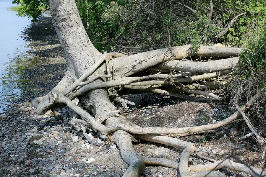 077 | 2020 | Lietzow | © carsten riede fotografie