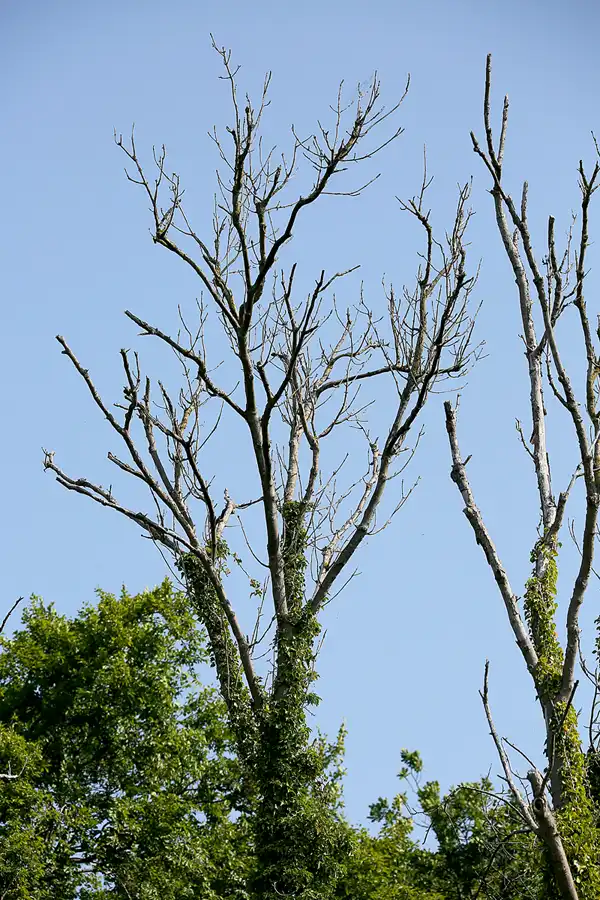 079 | 2020 | Lietzow | © carsten riede fotografie