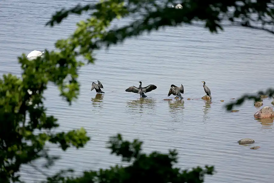 081 | 2020 | Lietzow | © carsten riede fotografie