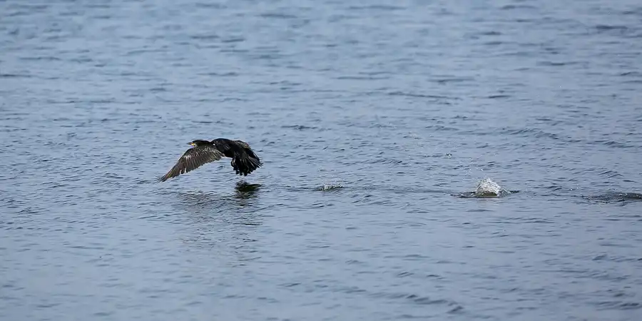 082 | 2020 | Lietzow | © carsten riede fotografie