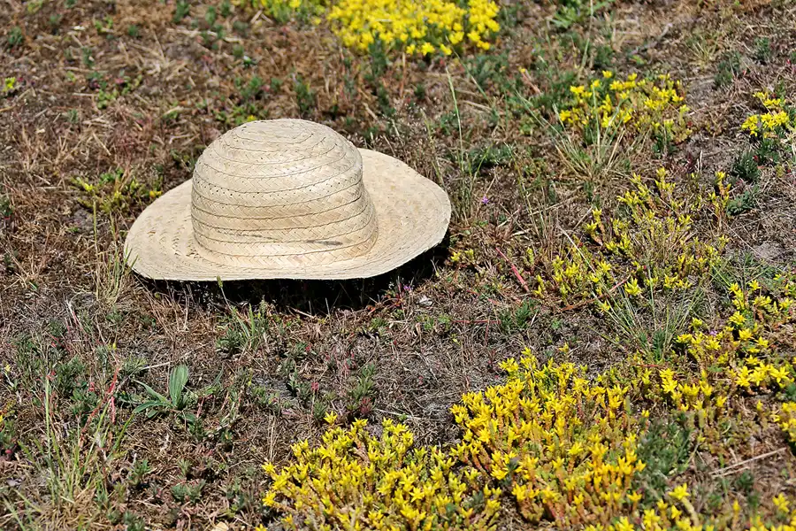 088 | 2020 | Lietzow | © carsten riede fotografie