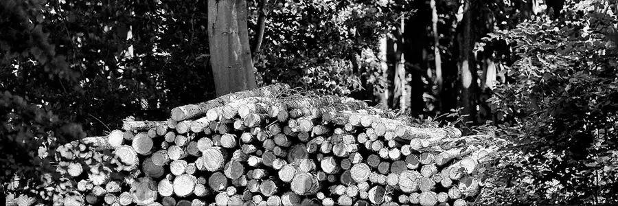 102 | 2020 | Granitz | © carsten riede fotografie