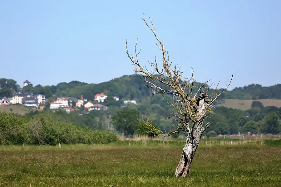 111 | 2020 | Lobbe | © carsten riede fotografie