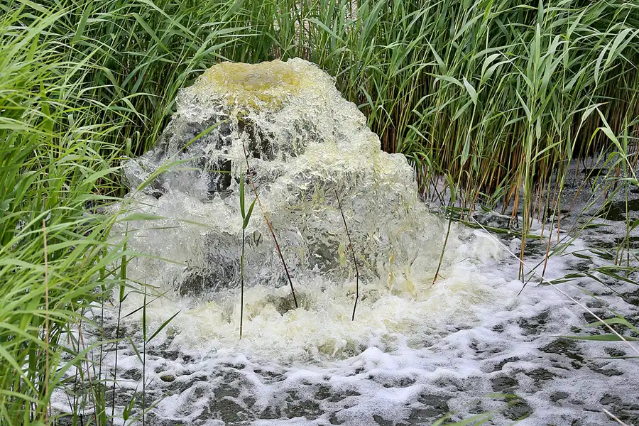 113 | 2020 | Lobbe | Windschöpfwerk | © carsten riede fotografie
