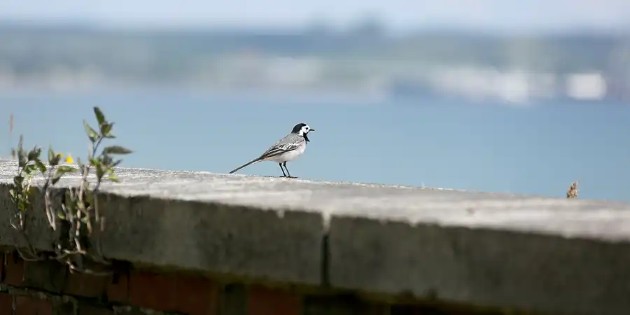 131 | 2020 | Prora | © carsten riede fotografie