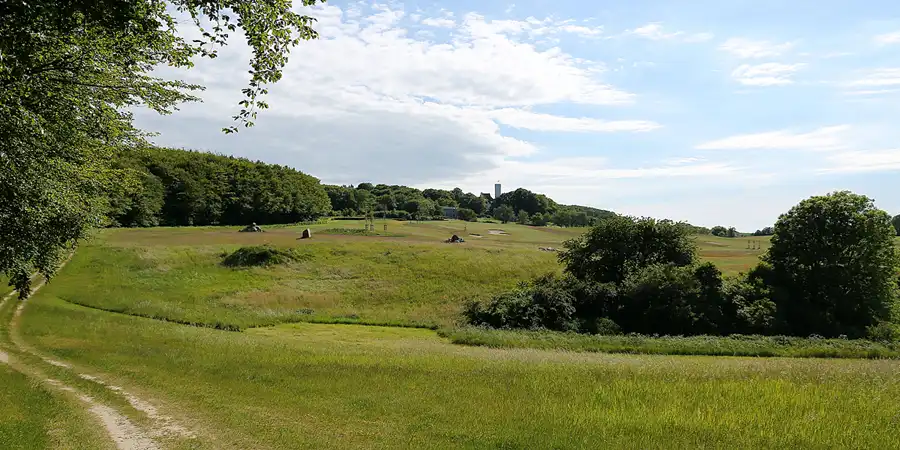 146 | 2020 | Ranzow | © carsten riede fotografie