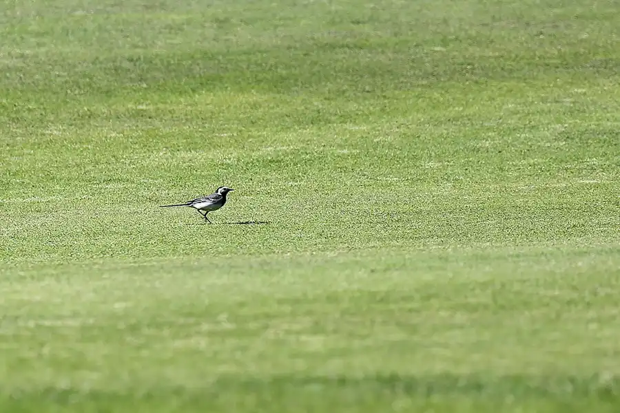 149 | 2020 | Ranzow | © carsten riede fotografie