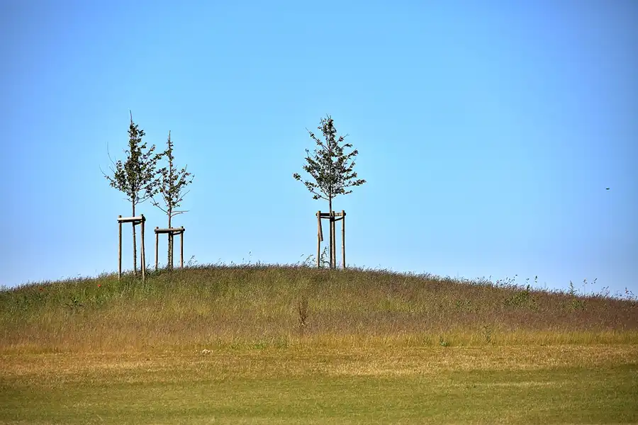 150 | 2020 | Ranzow | © carsten riede fotografie