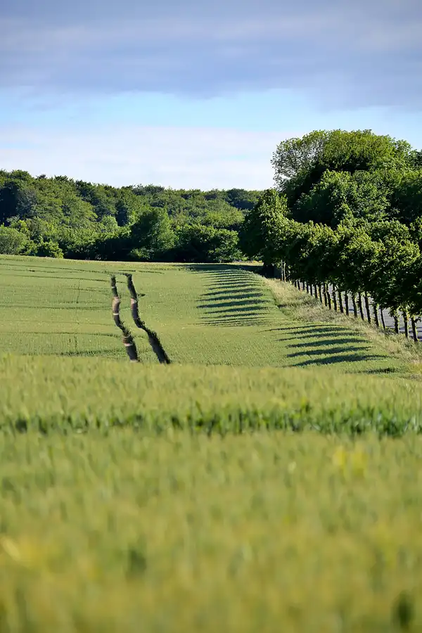155 | 2020 | Ranzow | © carsten riede fotografie