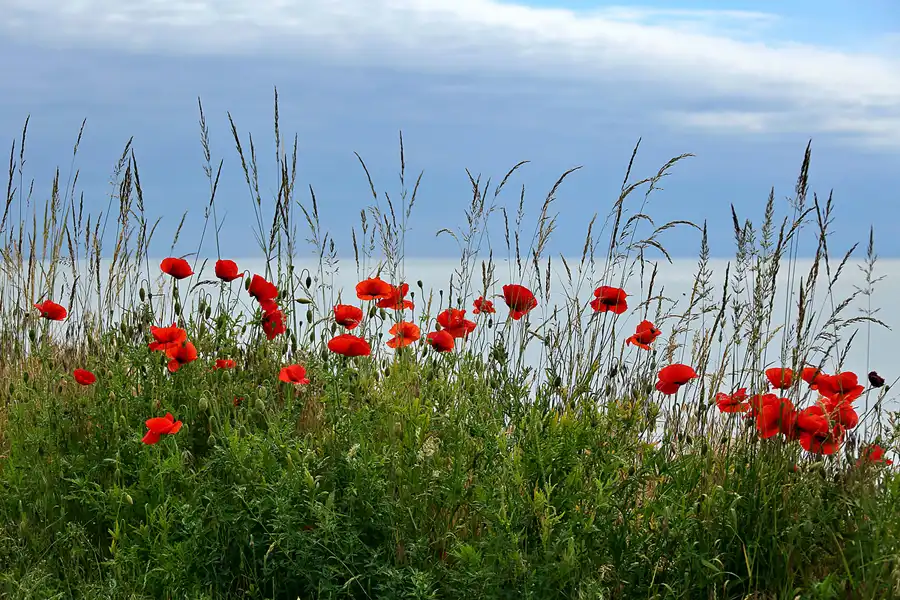 157 | 2020 | Thiessow | © carsten riede fotografie