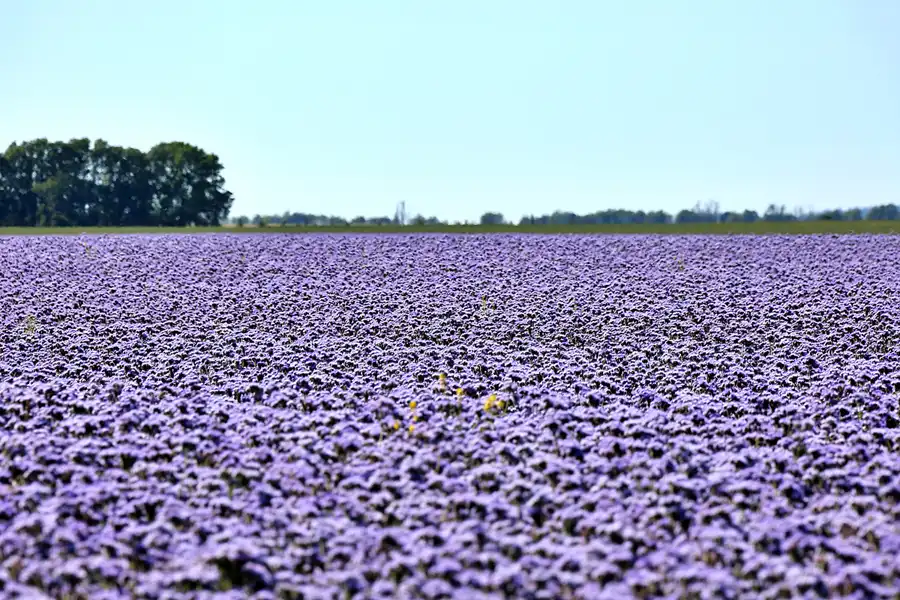168 | 2020 | Trent | © carsten riede fotografie